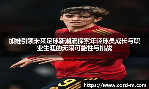 v66官方网站
