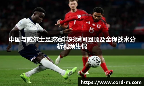 v66官方网站